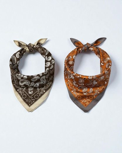 Pack de 2 bandanas de seda