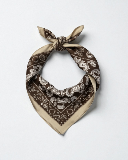 Pack de 2 bandanas de seda